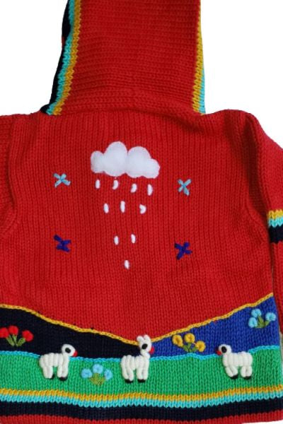 Andes Cotton Hooded Sweater for Children