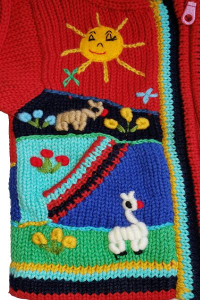 Andes Cotton Hooded Sweater for Children