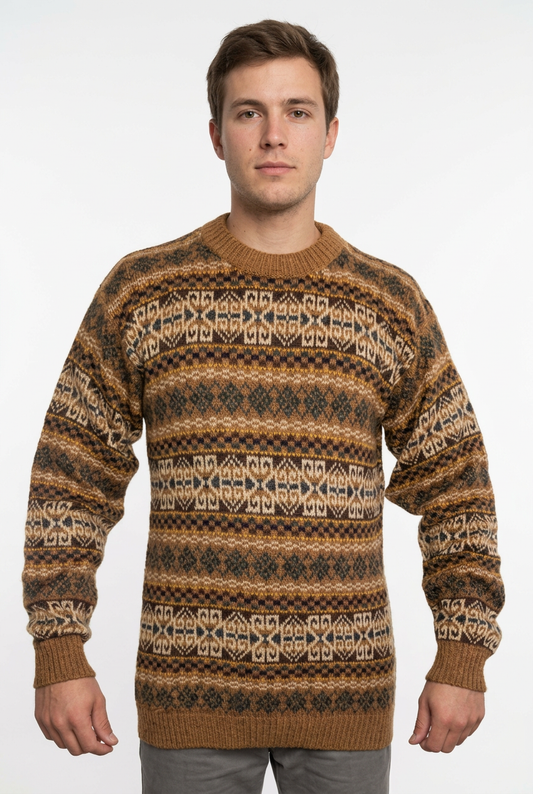 Brown patterned round-neck model preview